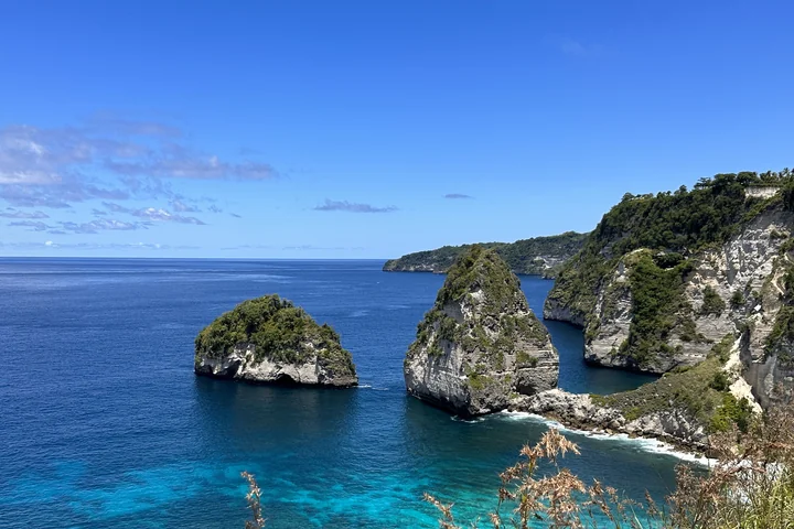 Nusa Penida detail 5