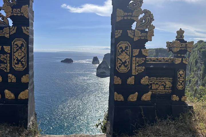 Nusa Penida detail 4